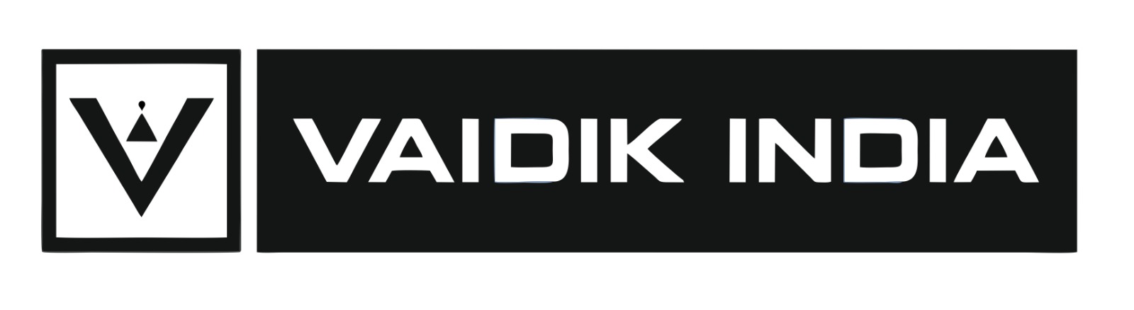 VAIDIK INDIA